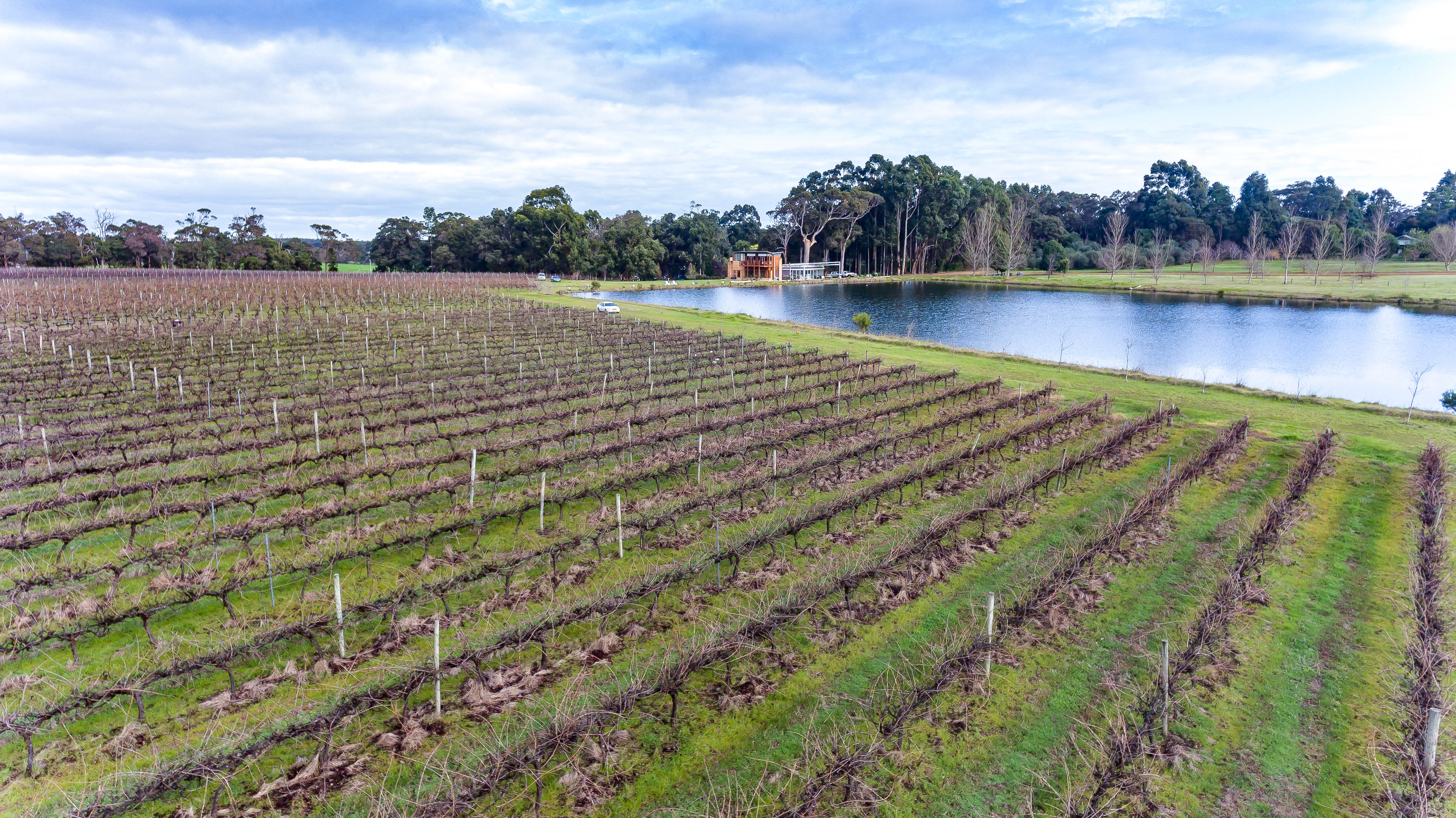 Bettenay Wines  vineyard and lake 